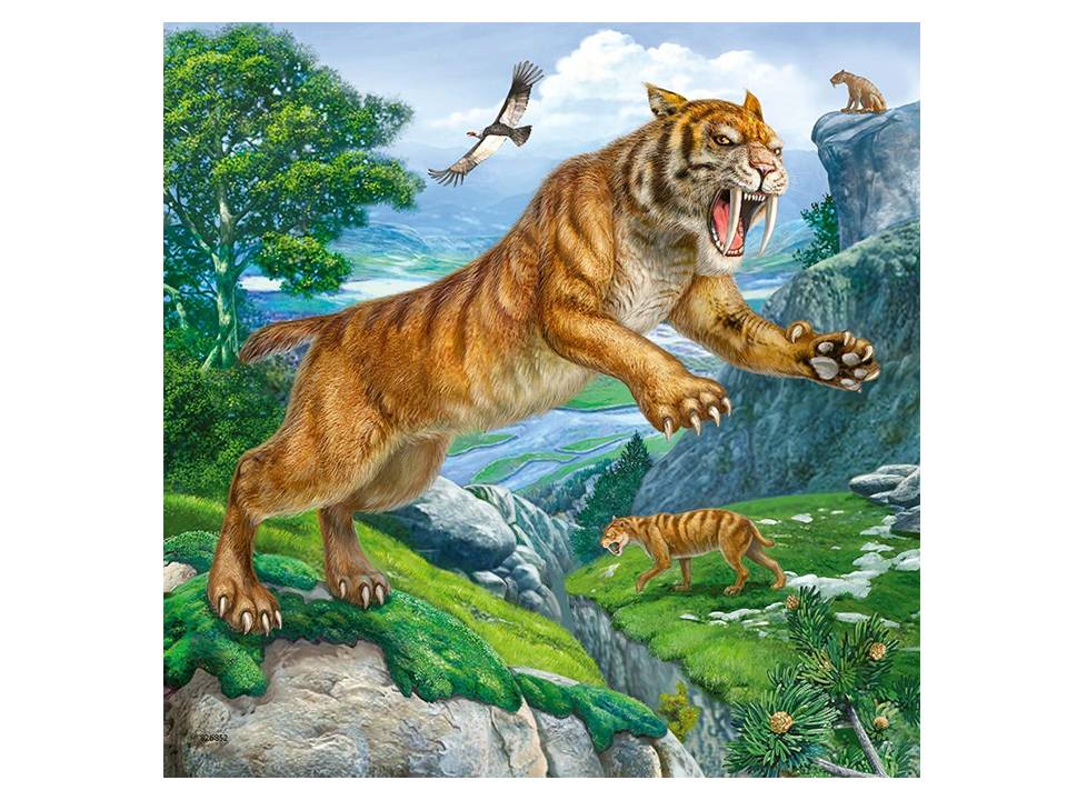 3 ROMPECABEZAS 49 PIEZAS ANIMALES PREHISTÓRICOS - RAVENSBURGER