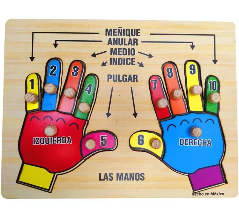ROMPECABEZAS DE 12 PIEZAS DE PIJAS LAS MANOS