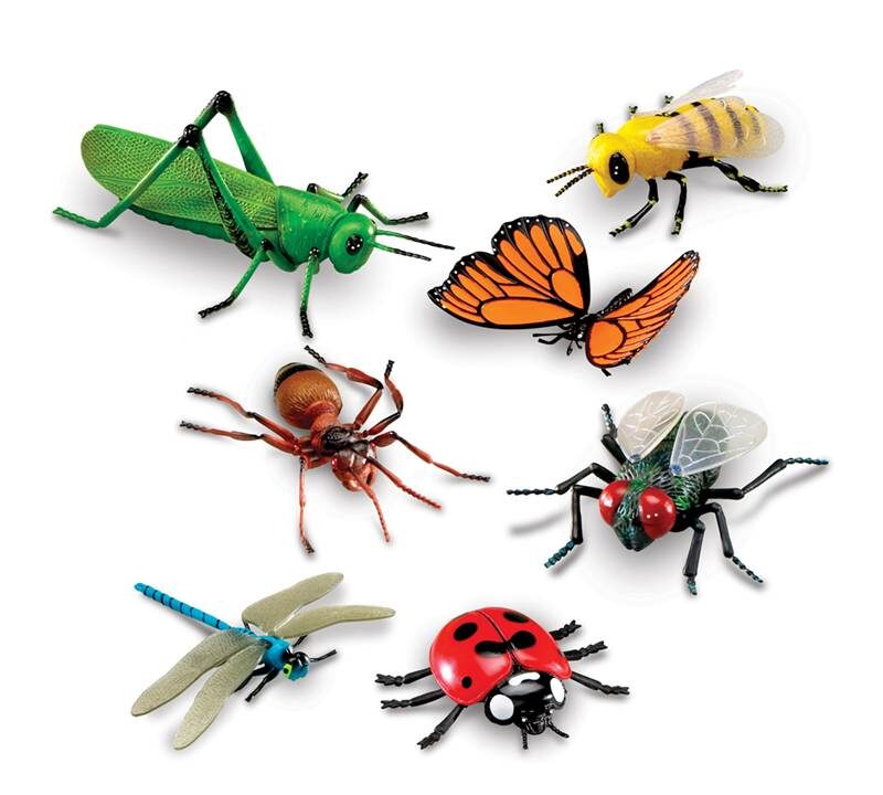 INSECTOS GIGANTES 7 PIEZAS - LEARNING RESOURCES
