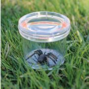 VISOR DE INSECTOS - LEARNING RESOURCES