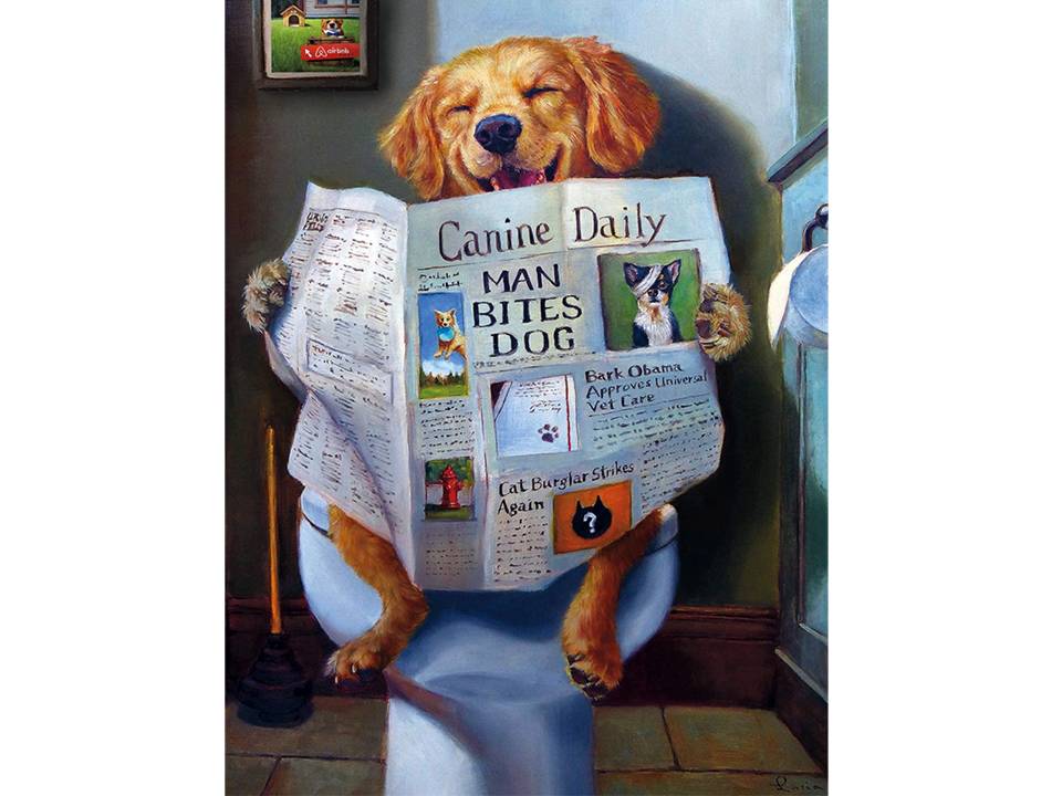 ROMPECABEZAS DE 750 PIEZAS PERRO LEYENDO COMODAMENTE EL PERIODICO - BUFFALO