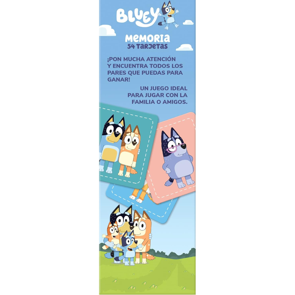 MEMORIA BLUEY – NOVELTY