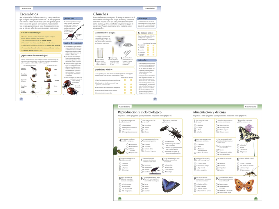 EYEWITNESS WORKBOOKS INSECTOS - DK