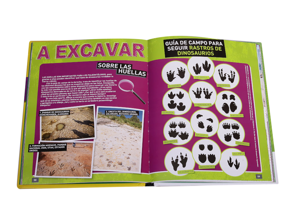 LIBRO EXPERTO ABSOLUTO EN DINOSAURIOS - NOVELTY