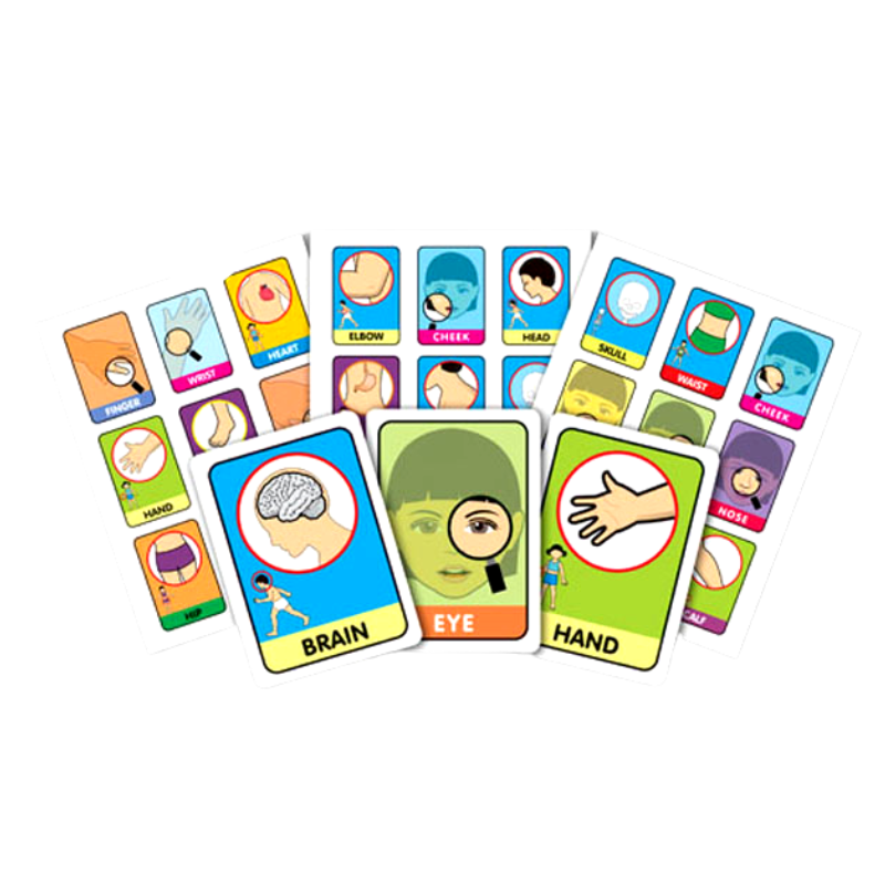 LOTERIA THE HUMAN BODY - TEACH PLAY