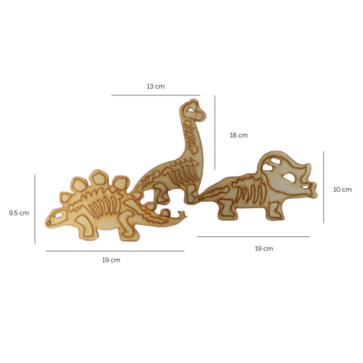 PALEONTOLOGIA HUESOS