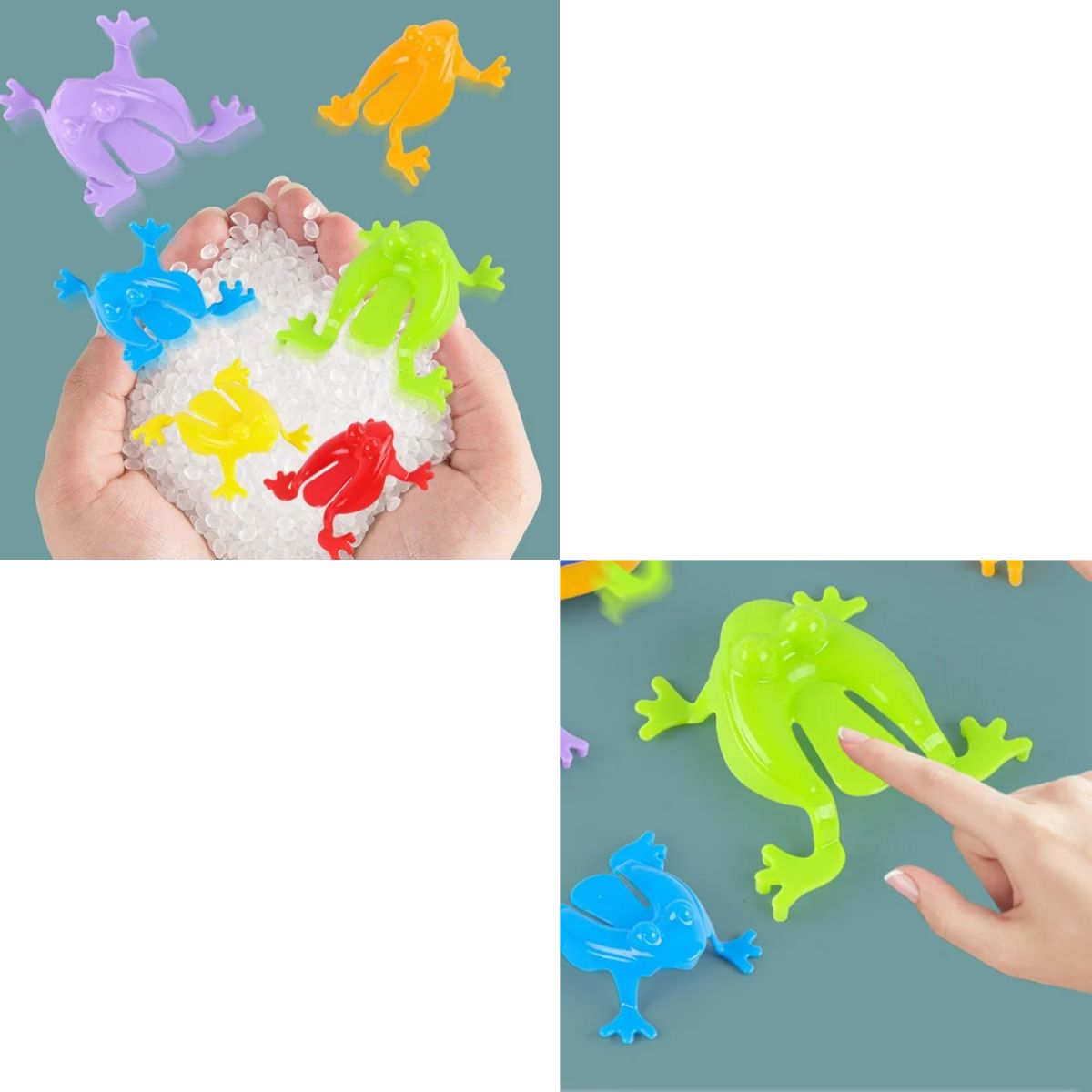 Ranas Saltarinas - Imagen 5