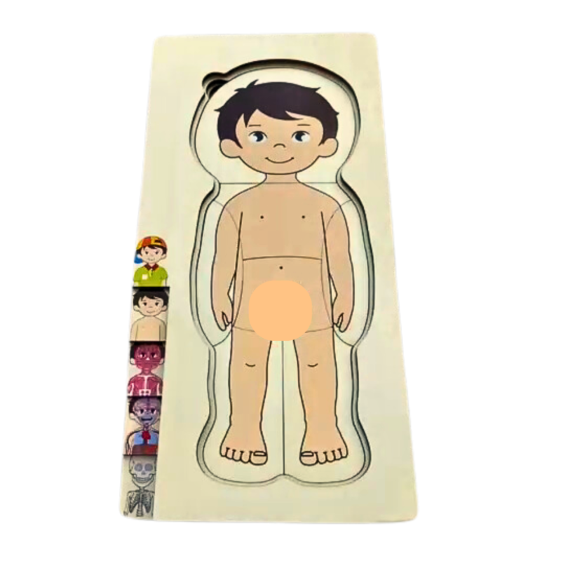 ROMPECABEZAS DEL CUERPO HUMANO NIÑO