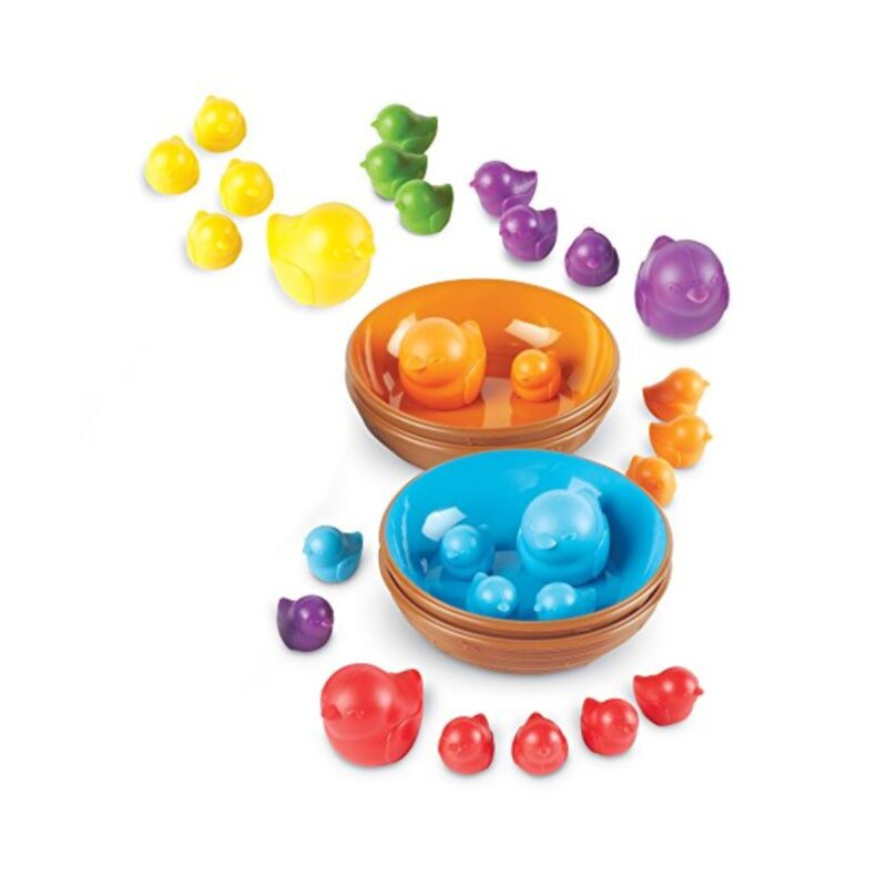Birds in a nest sorting set2