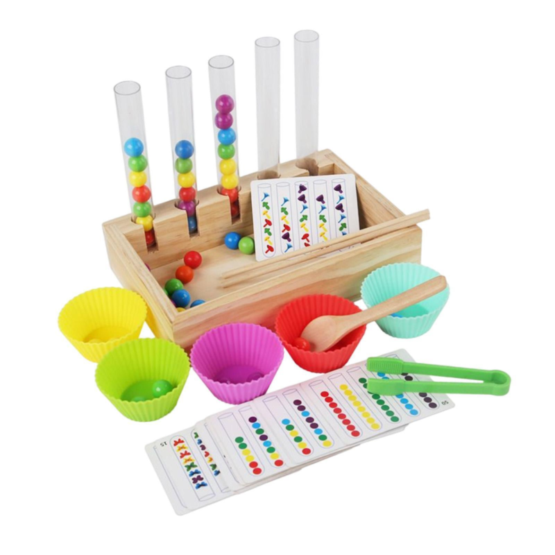 Clasifica y Juega con Secuencias Montessori