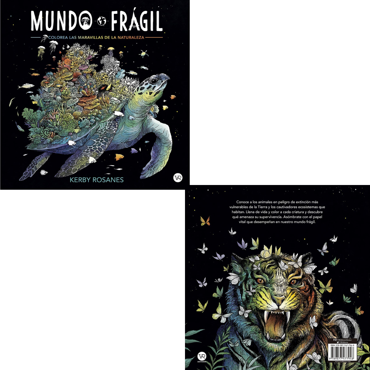Mundo Frágil V&R Editoras - Imagen 6