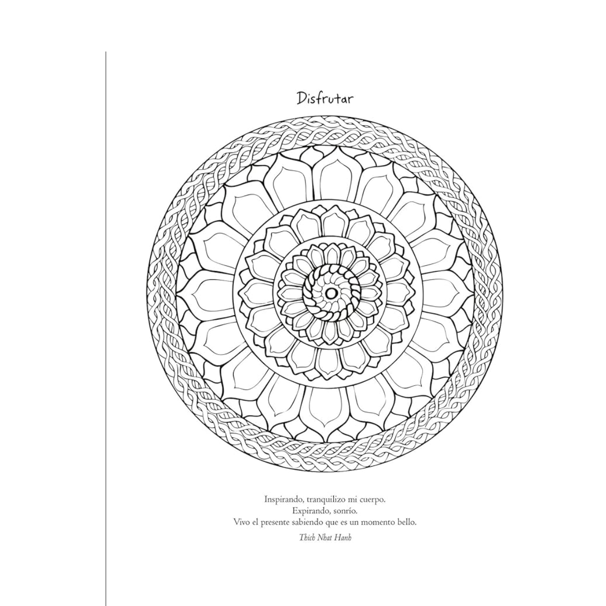 VR3 Mandalas magia color 2