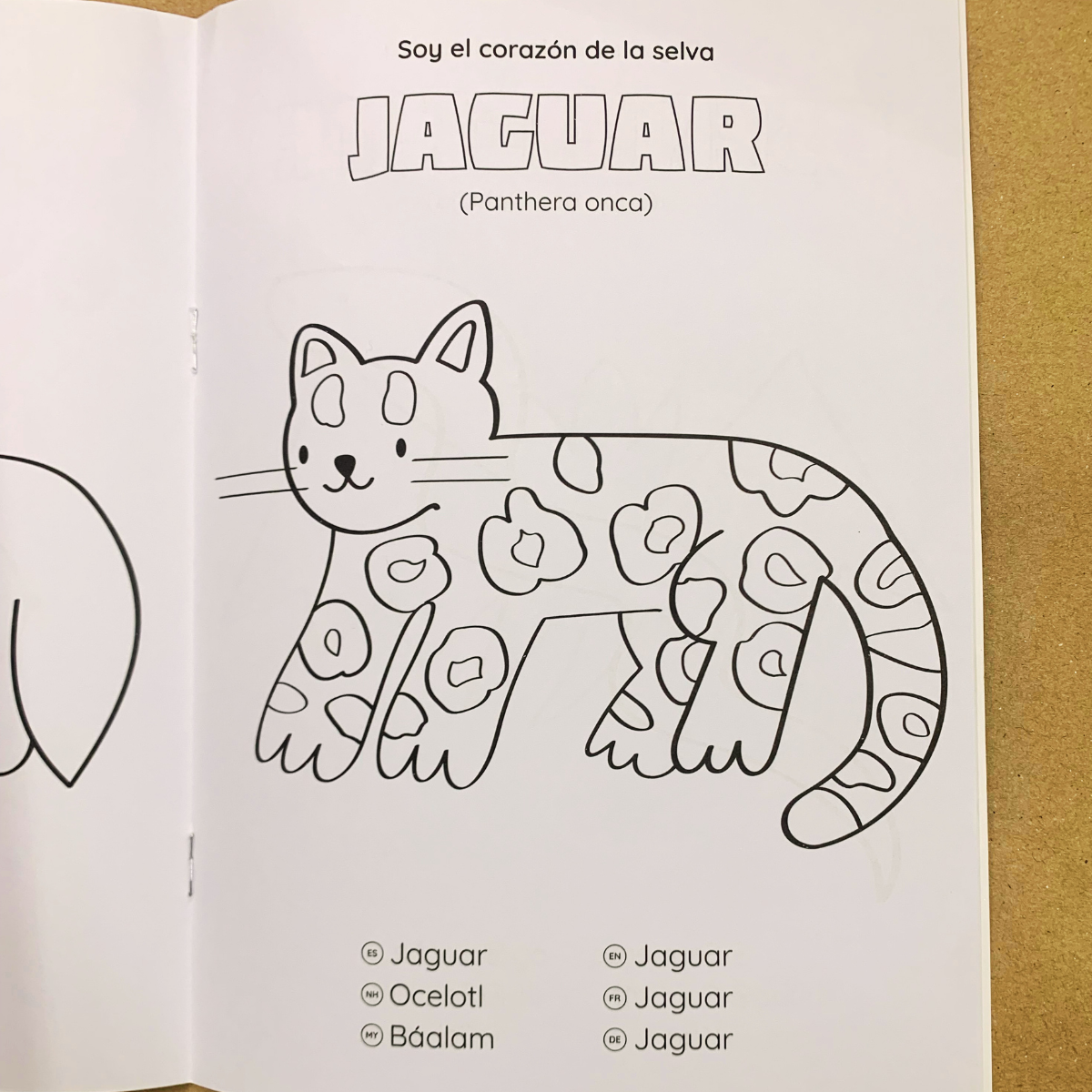 COLOREA 1 - ANIMALES MEXICANOS I