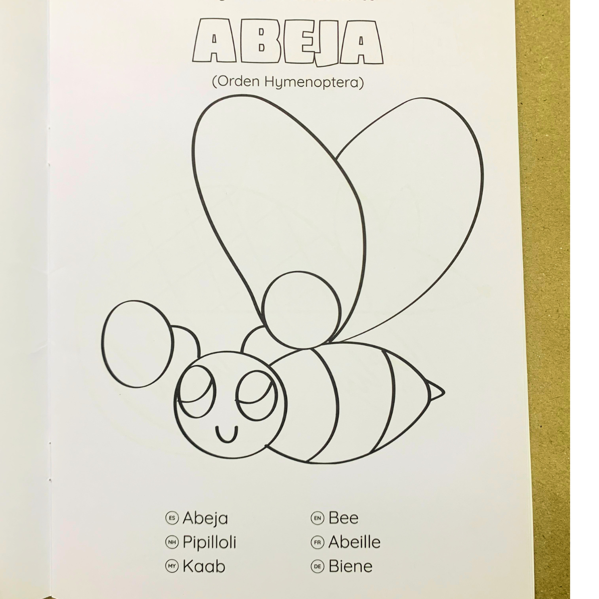 COLOREA 1 - ANIMALES MEXICANOS I