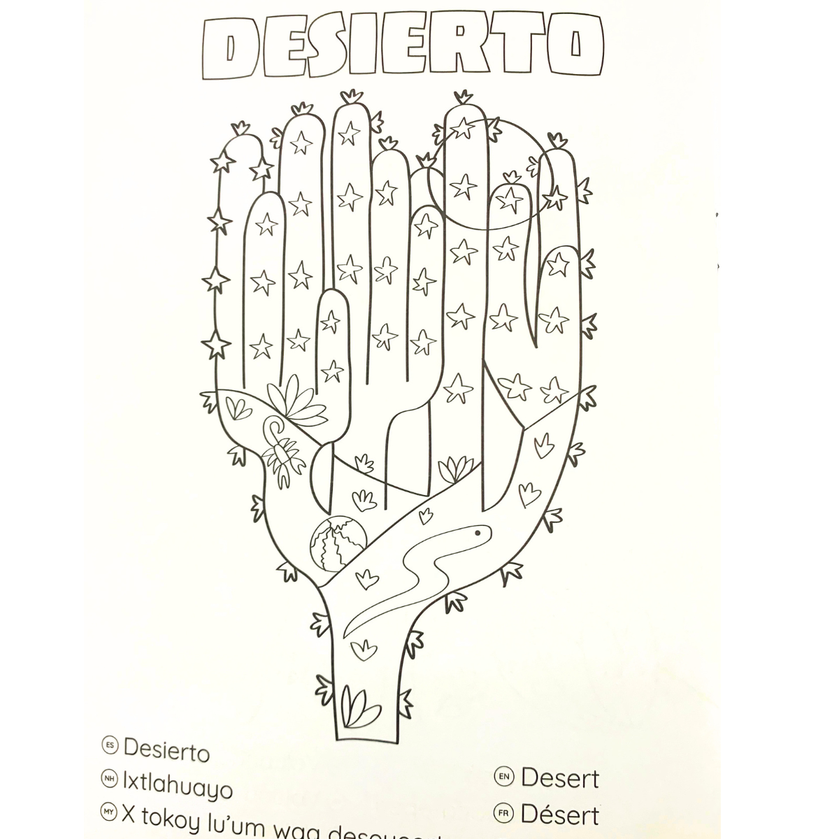 COLOREA 4 - PAISAJES MEXICANOS