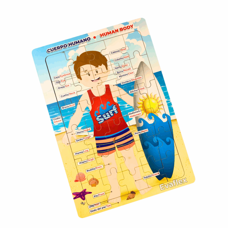 Rrompe. Cuerpo Humano Niño Playa 30 Pz – Evaflex
