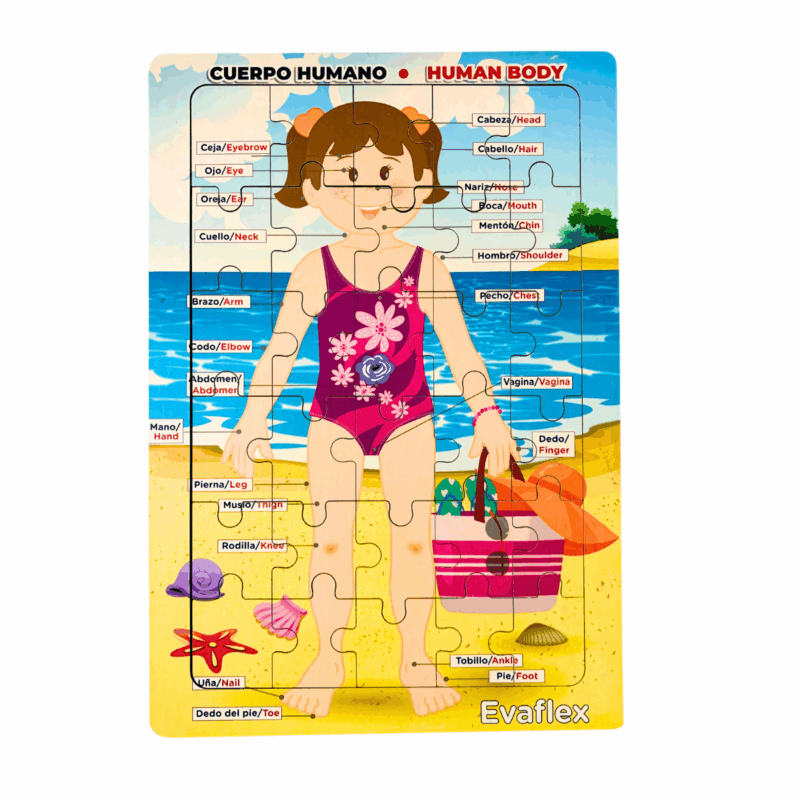 Rrompe. Cuerpo Humano Niña Playa 30 Pz - Evaflex