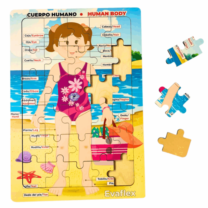 Rrompe. Cuerpo Humano Niña Playa 30 Pz - Evaflex